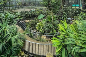 Bogotá Botanical Garden Tour