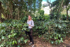 Богота: экскурсия с гидом по кофейной ферме на полдня