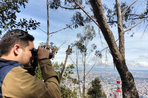 Bogotá : visite guidée d'observation des oiseaux à Monserrate