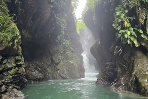 Кали: однодневная экскурсия к Дунаю и оазису Ла-Сирена. Из Кали