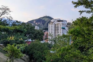 Cali Geschiedenis: Ontdek Cali door de bomen in de binnenstad