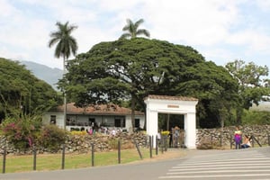Cali: Excursión de un día a la Finca de Caña de Azúcar y a la Hacienda El Paraíso