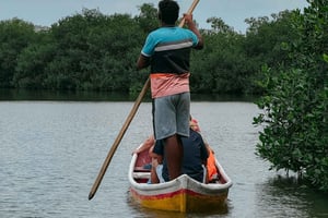 Картахена: Кустарная рыбалка через мангровые заросли
