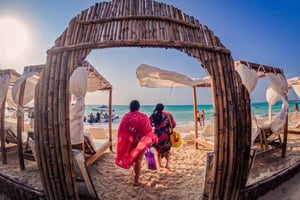 Cartagena: Praia Barú ao pôr do sol com plâncton bioluminescente
