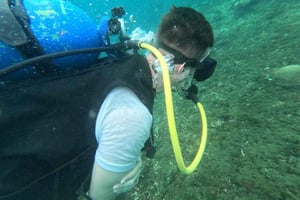 Cartagena : Plongée de base pour les débutants dans les îles Rosario