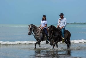 Cartagena: passeggiata a cavallo sulla spiaggia e cultura colombiana dei cavalli