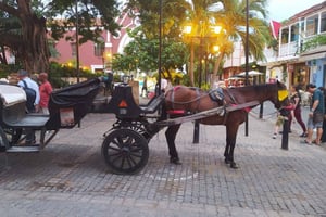 Cartagenassa: COLLONIAL HORSE DRAWN CARRIAGE by THE OLD CITY