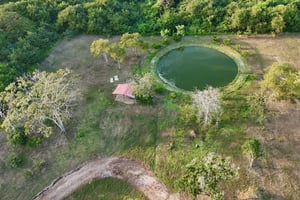 Cartagena: Hacienda San Benito Signature Birdwatching Tour