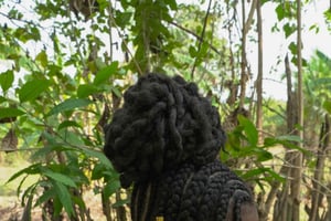 Cartagena: Hårviden og frihedsfletning i Palenque