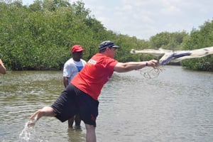 Cartagena: mangroven planten, vissen en koken