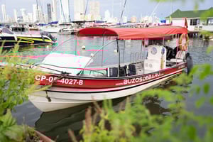 Cartagena: private boat to Rosario Islands and Baru