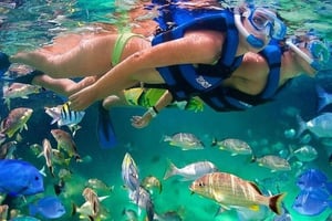 Cartagena: Raccoon Island Snorkel, Mangrove, Photos & Lunch