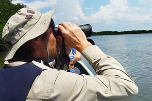 Cartagena: Vela privada no mangue GUIA em INGLÊS