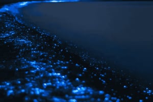 Cartagena: Tur til Playa Tranquila med snorkling + lysende plankton og parasol