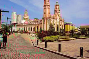 Visita l'ecoparco della palude di Mallorking e la foce del fiume Magdalena