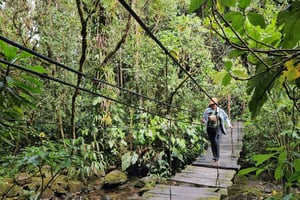 Cocora: vandring til kolibrireservatet