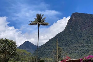 Cocora-laakson kiertomatka, Acaimen kolibritalo, noin 14 km