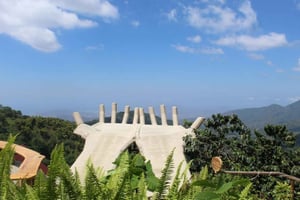 Tournée du café et du cacao à Minca !