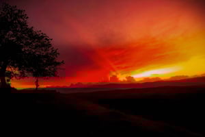 Kaffeeanbaugebiet: 3-tägige Radtour durch die Kaffeeberge