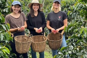 Tour de café y en jeep por la finca Mariposa en Jardín