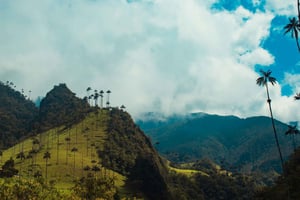 Kolumbia: Ratsastusretki joelle ja lounas