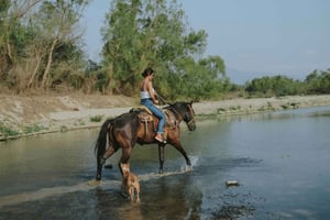 Colombia: viaje a caballo hasta el río + almuerzo