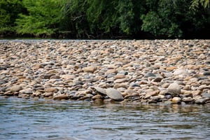 Visita comunitaria Biodiversidad Desierto de Latatacoa Villavieja