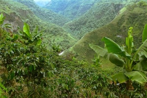 Cueva de los Guácharos Nationalpark: 3-dages ekspedition fra San Agustín