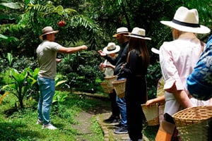 Da Bogotà: Tour della fattoria del caffè e delle cascate di Tequendama