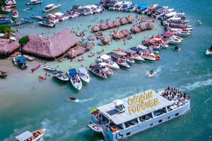 Från Cartagena: Guidad dagsutflykt till ön Cholon