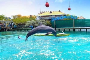 Vanuit Cartagena: Dagvullende tour op de eilanden van Rosario & Oceanarium