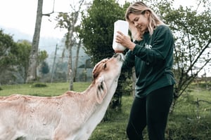 From Medellin: 100-Year-Old Finca Horseback Riding & More