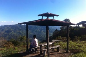 Från Medellin: Express Coffee Tour