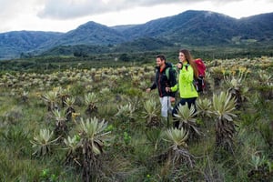 Fra Popayán: Fossene i Puracé nasjonalpark