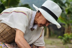 Inspirerende landskaber i Valle de Cocora og kaffeplantager