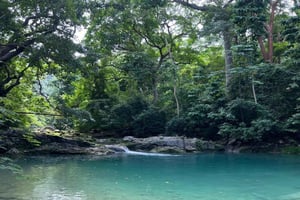 La Guajira: trekking with views of wildlife, flora and waterfalls + lunch