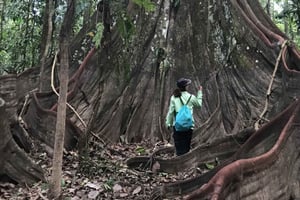 Leticia Increíbles excursiones de tres días por la selva
