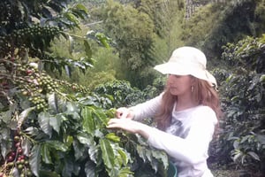 Medellin: Kaffeopplevelse og workshop