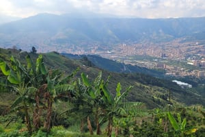 Medellin: Kaffeodlingstur & Spa med övernattning i Glamping