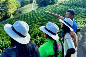 Медельин: Экскурсия по кофейной ферме - Попробуйте истории Сьерры