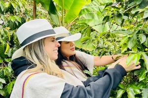 Kaffeodlingstur i Medellín med spårvagns- och linbanetur