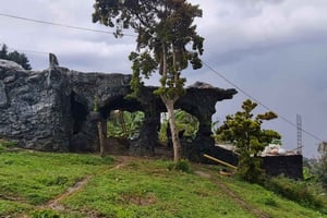 Medellin: Coffee Tour and Wellness Spa