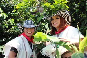 Medellin: Kahvikierros hotellin kuljetuksineen ja aterioineen