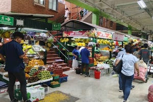Medellín : visite culturelle avec déjeuner et Commune 13