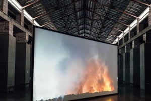 Medellin: bilet wstępu do Muzeum Sztuki Nowoczesnej w Medellin