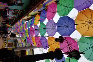 Medellin: Guatape, El Peñol kaffeodling Privat tur & frukt