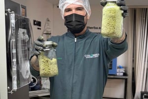 Medellín: Rundtur i den medicinska cannabisindustrin med labb och lunch