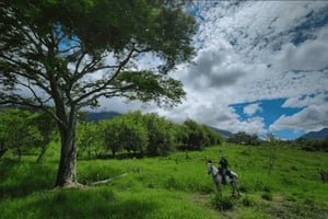 Medellín: escapada en quad por la montaña, el río y el valle