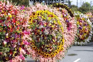 Medellín: Tur till blomsterodlingen Santa Elena