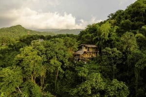 ミンカ：ジャングルジョーと行くシエラネバダ2日ツアー